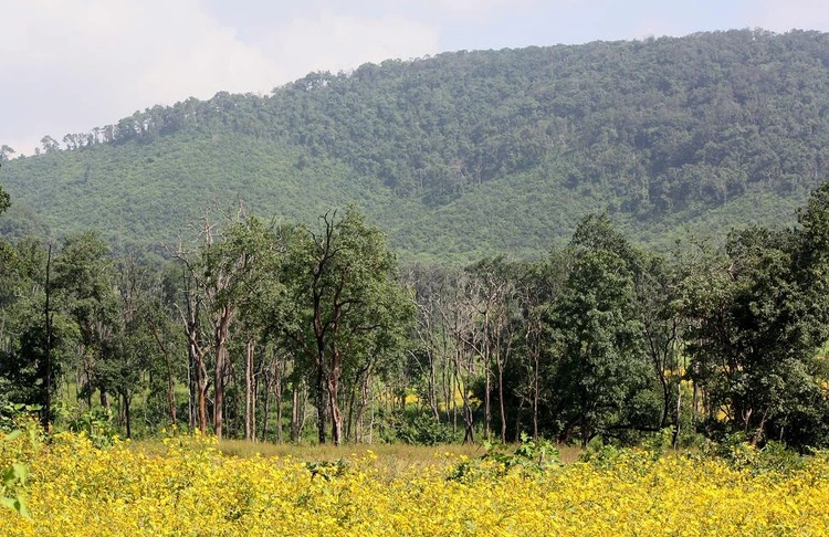 କୁଇଦିନା ଅଭୟାରଣ୍ୟ ଅଞ୍ଚଳ 