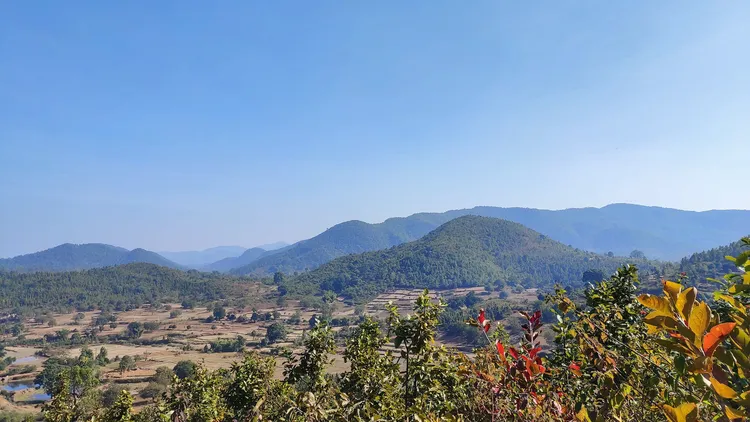 ଦାରିଙ୍ଗବାଡ଼ି ସାଞ୍ଜାମାନି ଫୂଟ