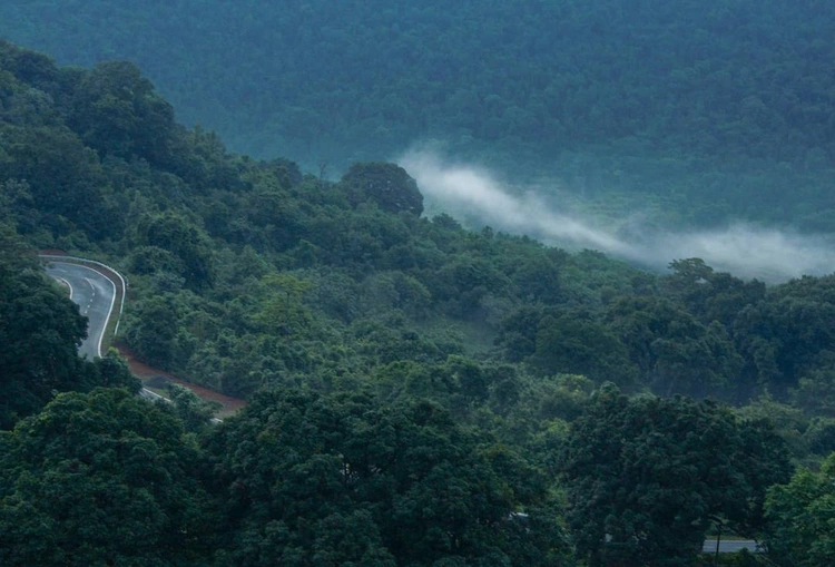 କଳିଙ୍ଗା ଘାଟି