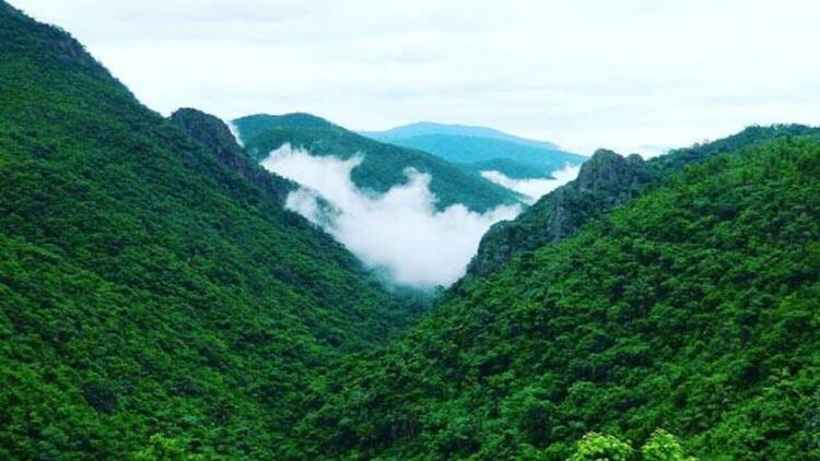 Mountain view