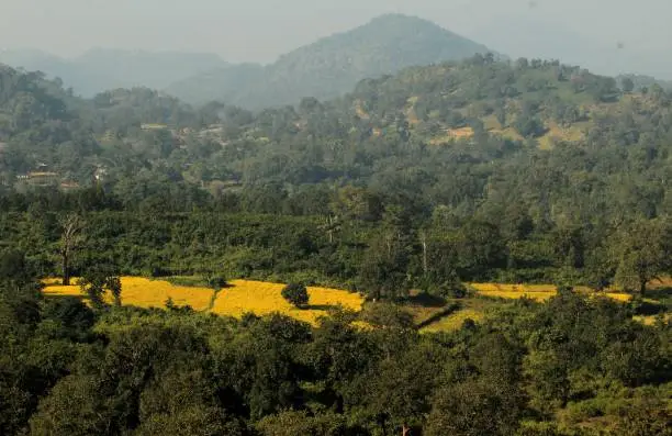 କୁଇ ଦିନା ସାଞ୍ଜା