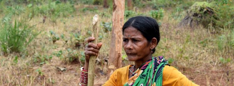Kandhamal Woman