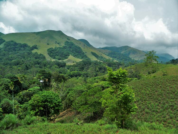 Kandhamal mountain