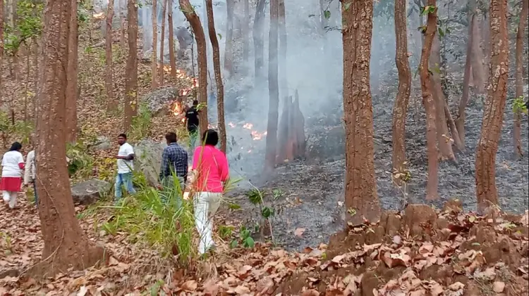 ସରୁ କାମ୍ବାଇନି ଫୂଟ