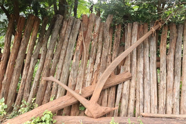 କୁଇଦିନା ନାଜୁ ୨